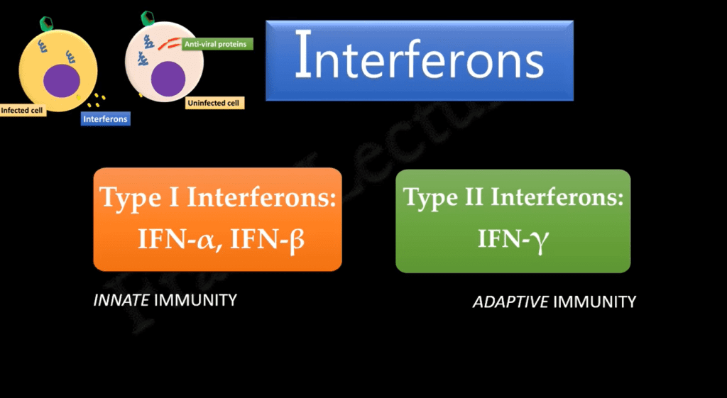 type of interferon