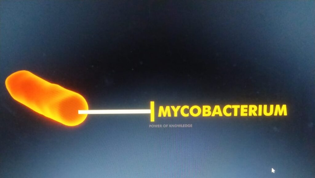 माइक्रोबैक्टेरियम ट्यूबरक्लोसिस नामक बैक्टीरिया 