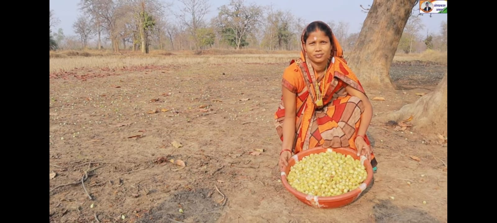 आदिवासी समाज में महुआ के पेड़ का महत्व